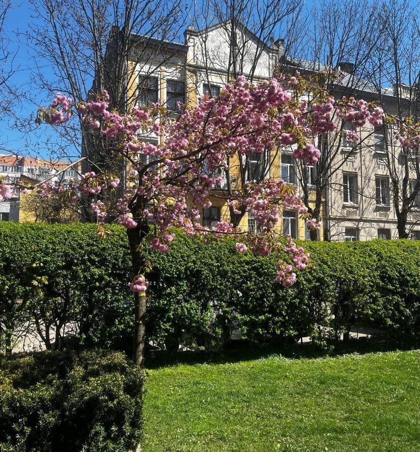 Iren Smart Apartment Λβιβ Εξωτερικό φωτογραφία